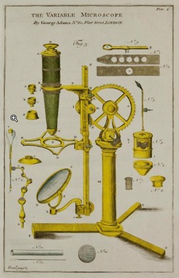 909
          <br/>
          The construction of timber from its early growths explained by the microscope, and proved from experiments in a great varity of kinds
          <br/>
          <em></em>